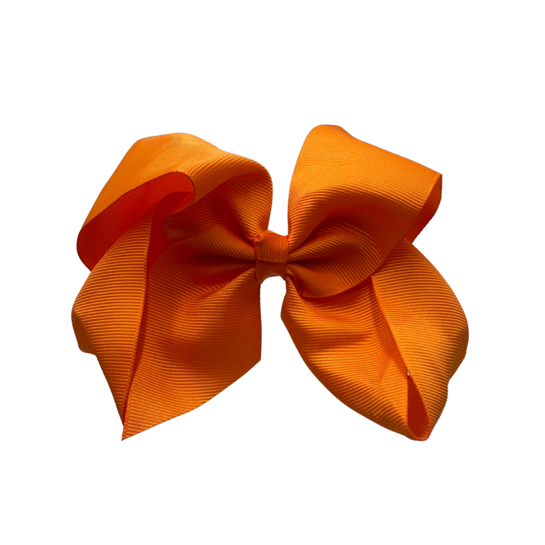 Cinta Falla