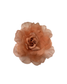 Rosas