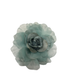 Rosas