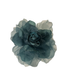 Rosas