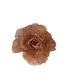 Rosas