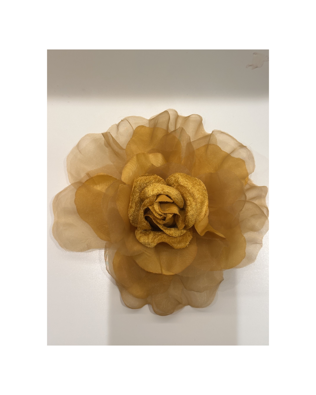Rosas