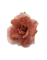 Rosas