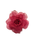 Rosas