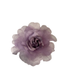Rosas