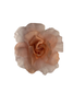Rosas