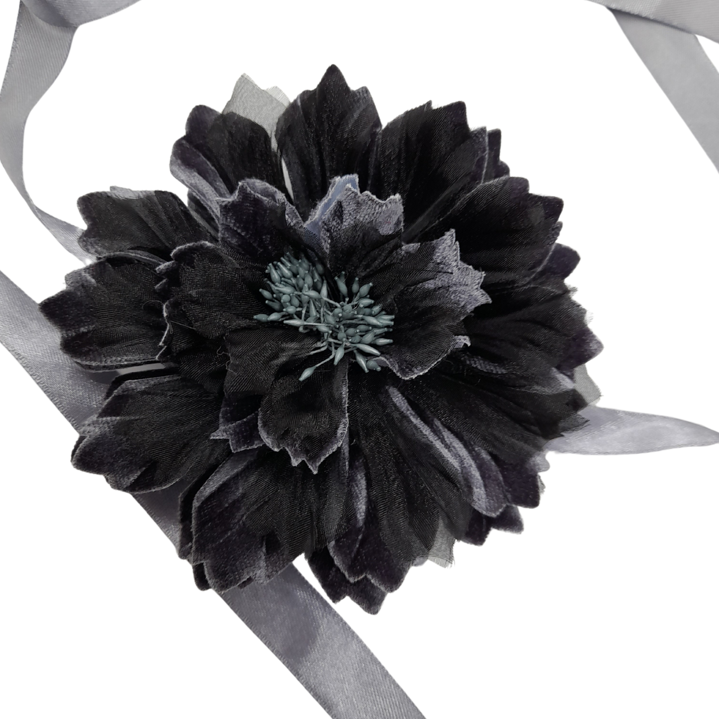 Ixia