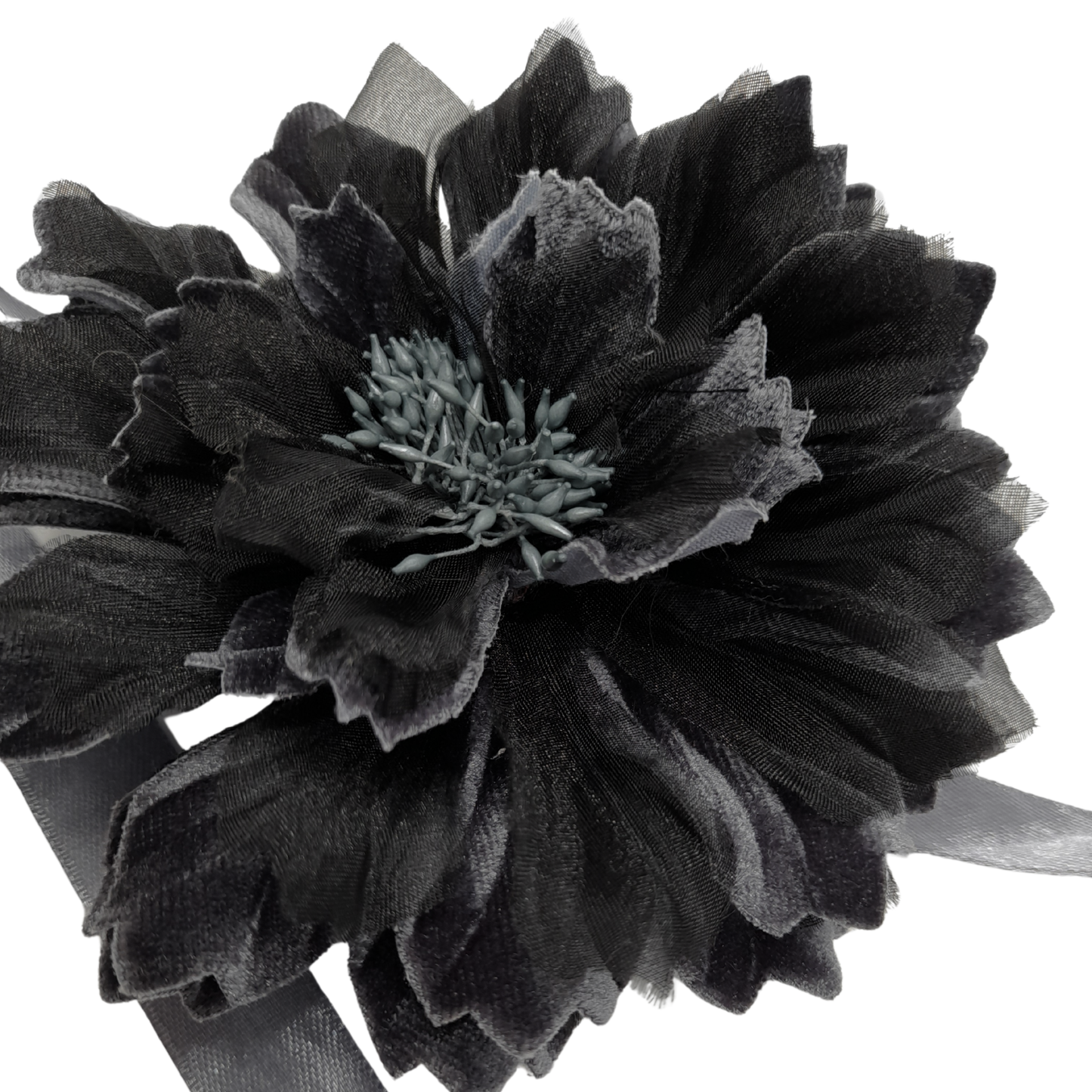 Ixia