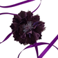 Ixia