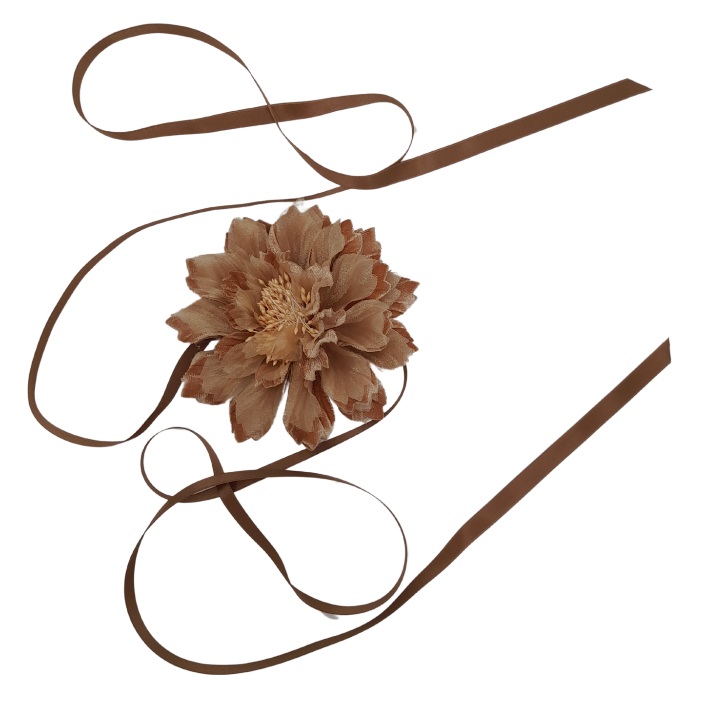 Ixia