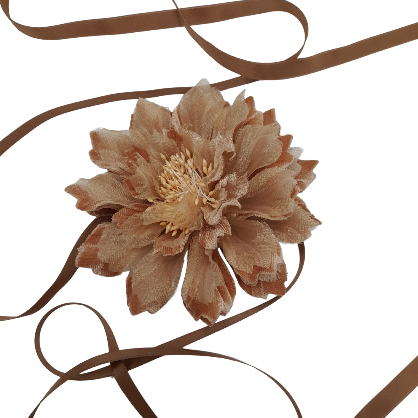 Ixia
