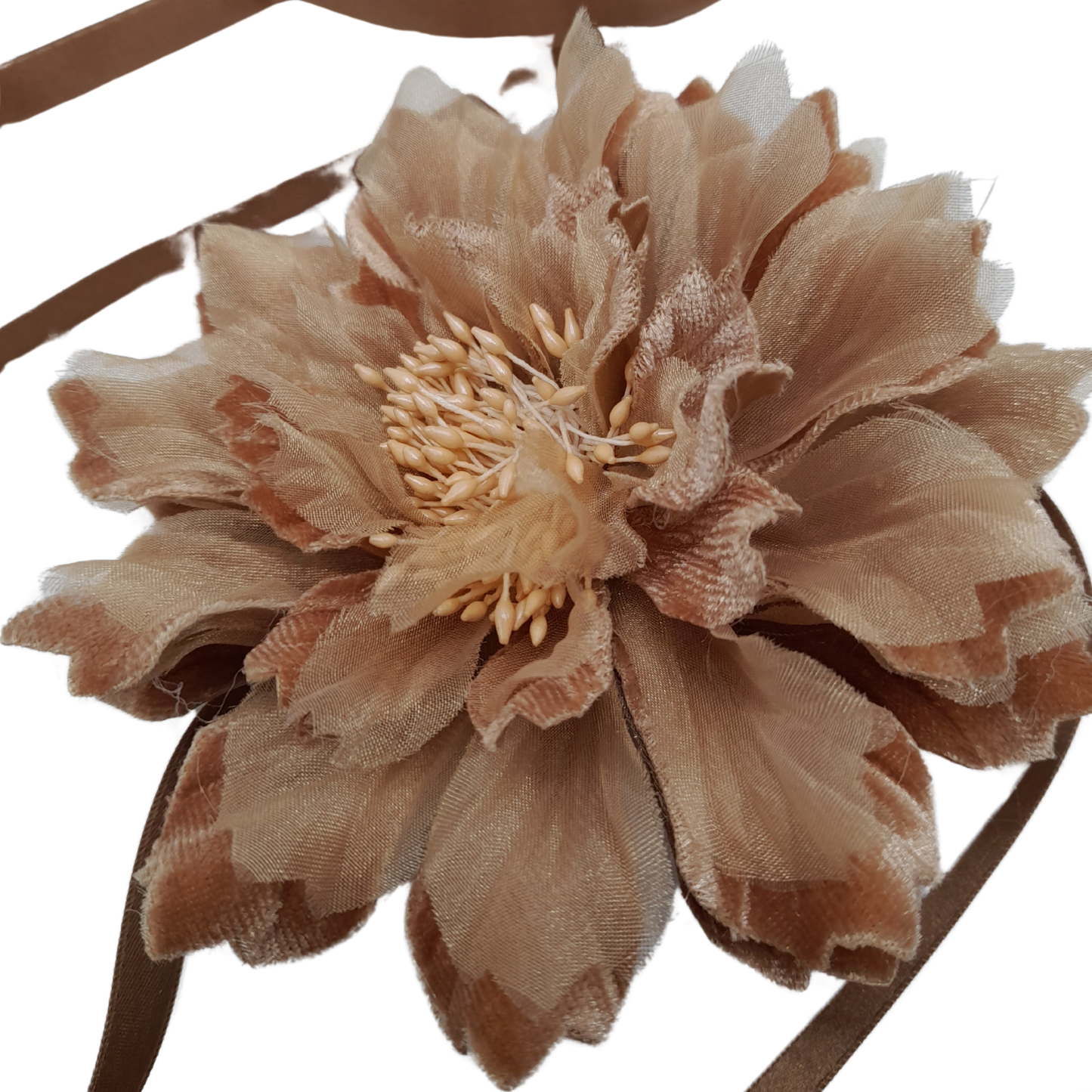 Ixia