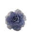 Rosas