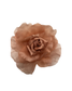 Rosas