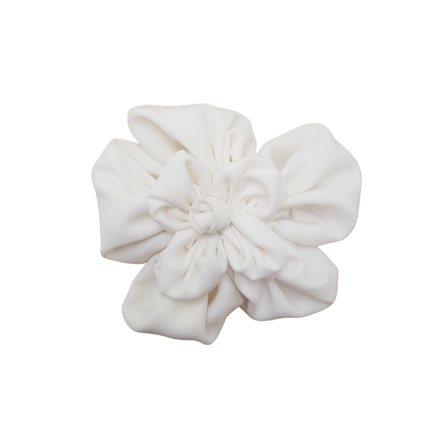 Camelia Novia