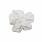 Camelia Novia