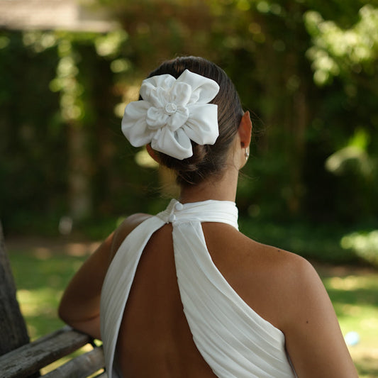 Camelia Novia