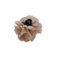 Flor Brillo