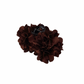 Clips dos flores