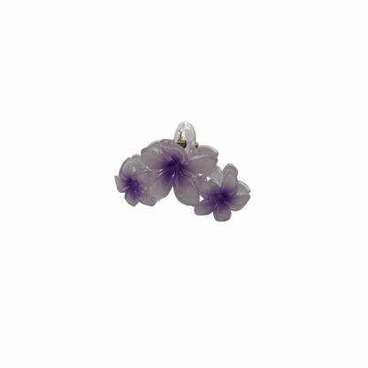 Pins Hawai